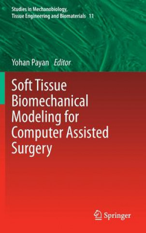 Könyv Soft Tissue Biomechanical Modeling for Computer Assisted Surgery Yohan Payan
