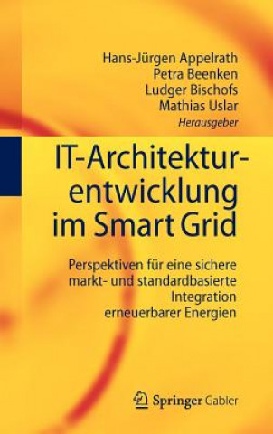 Kniha It-Architekturentwicklung Im Smart Grid Hans-Jürgen Appelrath