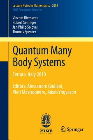 Könyv Quantum Many Body Systems Alessandro Giuliani