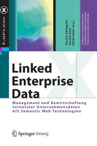 Kniha Linked Enterprise Data Tassilo Pellegrini