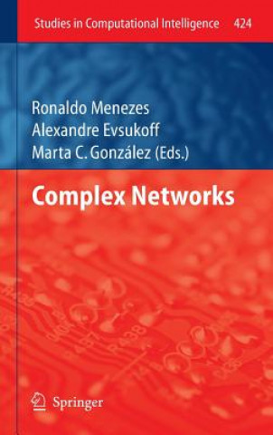 Książka Complex Networks Alexandre Evsukoff