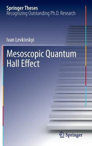 Książka Mesoscopic Quantum Hall Effect Ivan Levkivskyi