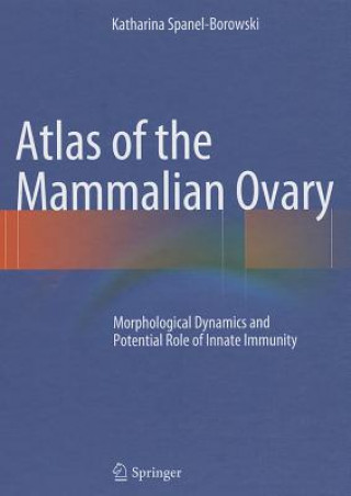 Книга Atlas of the Mammalian Ovary Katharina Spanel-Borowski