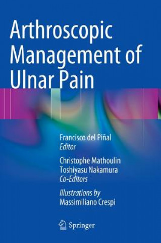 Książka Arthroscopic Management of Ulnar Pain Francisco del Pi