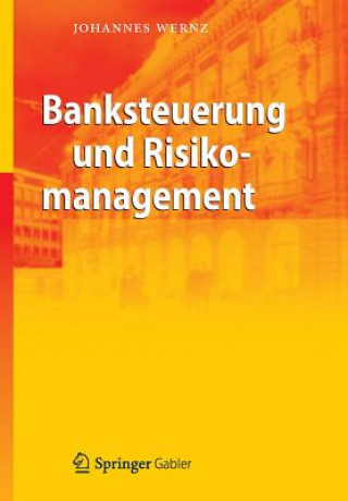 Kniha Banksteuerung Und Risikomanagement Johannes Wernz