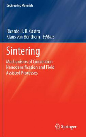Carte Sintering Ricardo Castro