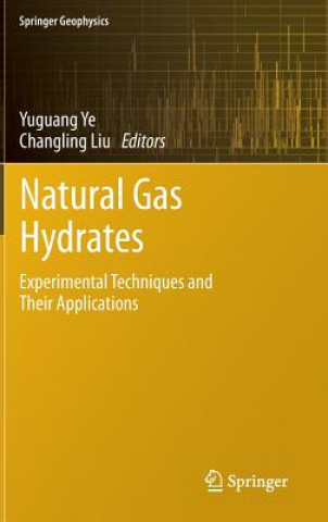 Kniha Natural Gas Hydrates Yuguang Ye