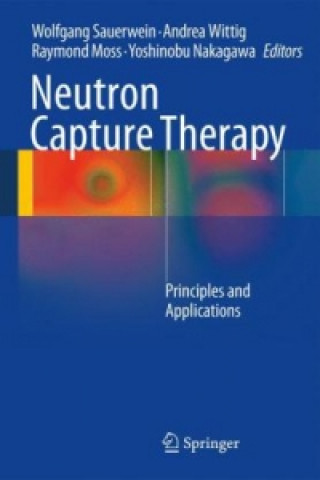 Kniha Neutron Capture Therapy Wolfgang A. G. Sauerwein