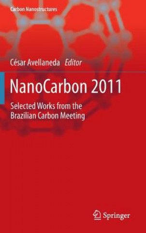 Kniha NanoCarbon 2011 César Avellaneda