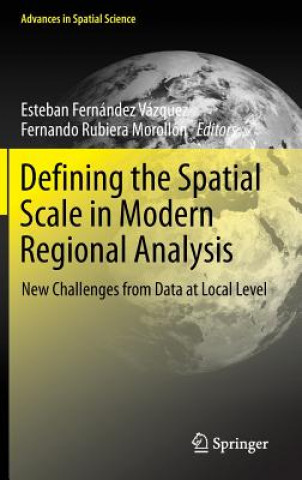 Könyv Defining the Spatial Scale in Modern Regional Analysis Francesca Pagliara