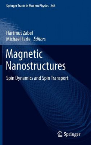 Knjiga Magnetic Nanostructures Hartmut Zabel