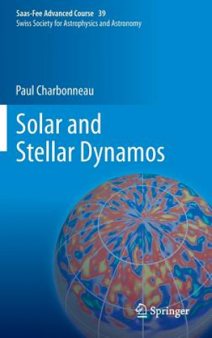 Buch Solar and Stellar Dynamos Paul Charbonneau