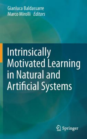 Könyv Intrinsically Motivated Learning in Natural and Artificial Systems Gianluca Baldassarre