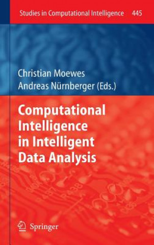 Książka Computational Intelligence in Intelligent Data Analysis Christian Moewes