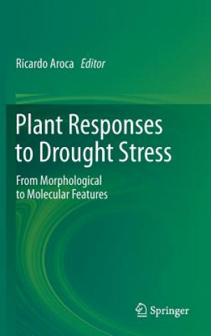 Kniha Plant Responses to Drought Stress Ricardo Aroca