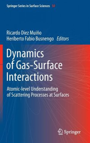 Carte Dynamics of Gas-Surface Interactions Ricardo Díez Mui