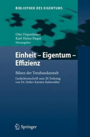 Könyv Einheit - Eigentum - Effizienz Otto Depenheuer