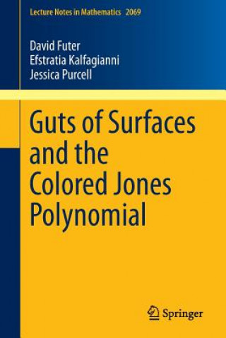 Könyv Guts of Surfaces and the Colored Jones Polynomial David Futer