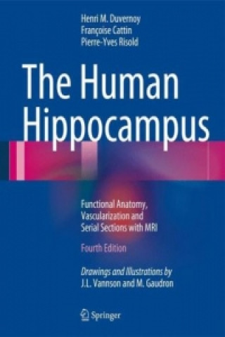 Könyv Human Hippocampus Henri M. Duvernoy