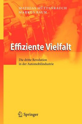 Livre Effiziente Vielfalt Mathias Hüttenrauch