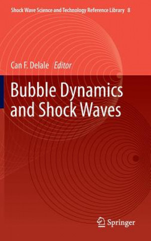 Buch Bubble Dynamics and Shock Waves Can F. Delale