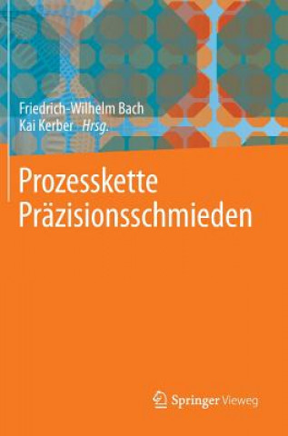 Książka Prozesskette Prazisionsschmieden Friedrich-Wilhelm Bach
