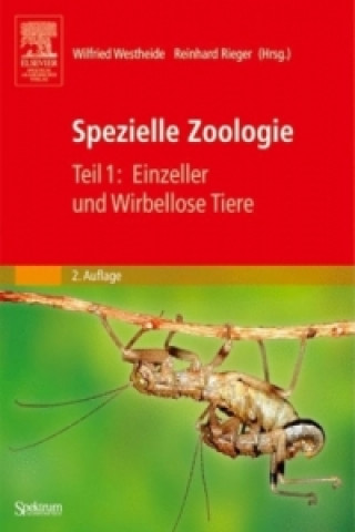 Könyv Spezielle Zoologie. Teil 1: Einzeller und Wirbellose Tiere Wilfried Westheide