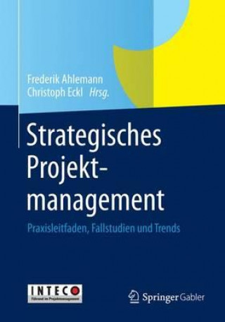 Książka Strategisches Projektmanagement Frederik Ahlemann