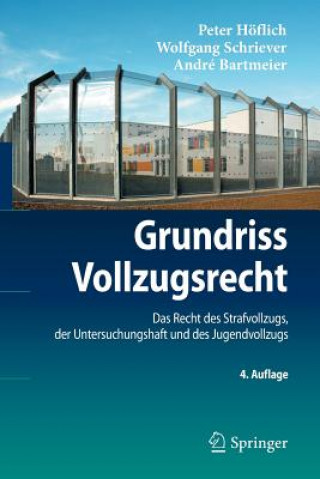 Kniha Grundriss Vollzugsrecht Wolfgang Schriever