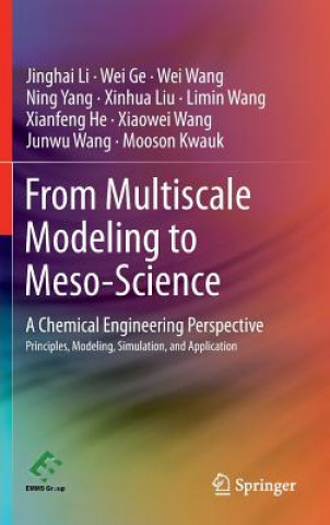 Kniha From Multiscale Modeling to Meso-Science Jinghai Li