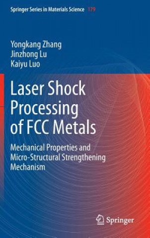 Könyv Laser Shock Processing of FCC Metals Yongkang Zhang