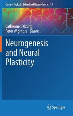 Könyv Neurogenesis and Neural Plasticity Catherine Belzung