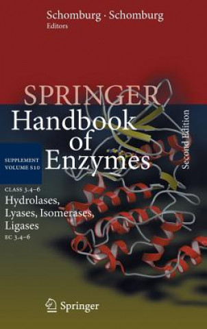 Kniha Class 3.4-6 Hydrolases, Lyases, Isomerases, Ligases Dietmar Schomburg