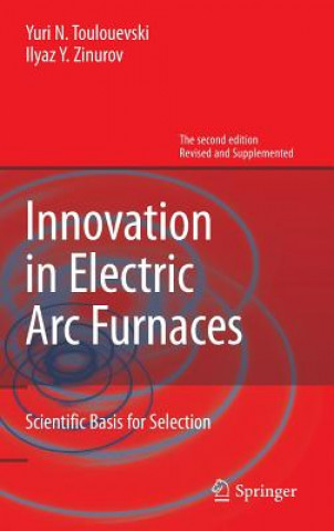 Könyv Innovation in Electric Arc Furnaces Yuri N. Toulouevski
