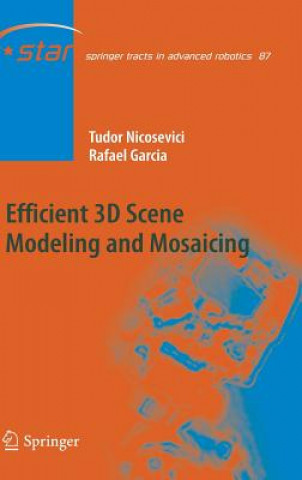 Könyv Efficient 3D Scene Modeling and Mosaicing Tudor Nicosevici