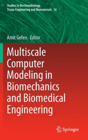 Book Multiscale Computer Modeling in Biomechanics and Biomedical Engineering Amit Gefen