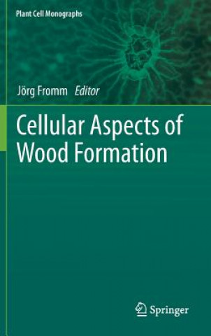 Könyv Cellular Aspects of Wood Formation Jörg Fromm