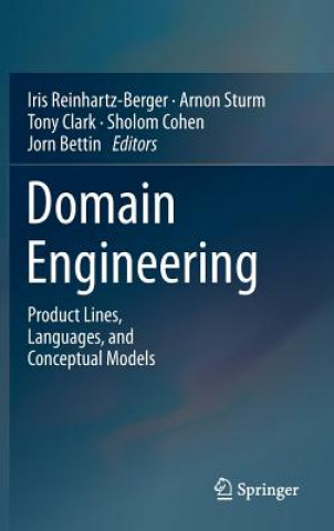 Kniha Domain Engineering Iris Reinhartz-Berger