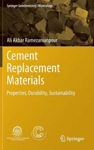 Könyv Cement Replacement Materials Ali Akbar Ramezanianpour