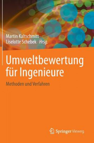 Książka Umweltbewertung fur Ingenieure Martin Kaltschmitt