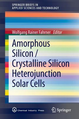 Könyv Amorphous Silicon / Crystalline Silicon Heterojunction Solar Cells Wolfgang Rainer Fahrner