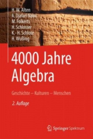 Book 4000 Jahre Algebra Heinz-Wilhelm Alten