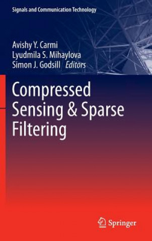 Kniha Compressed Sensing & Sparse Filtering Avishy Y. Carmi