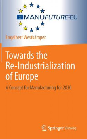 Kniha Towards the Re-Industrialization of Europe Engelbert Westkämper