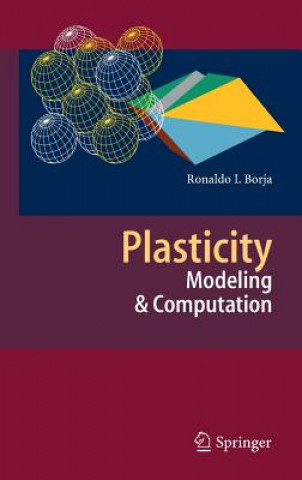 Książka Plasticity Ronaldo I. Borja