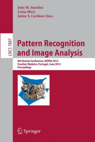 Buch Pattern Recognition and Image Analysis Jo
