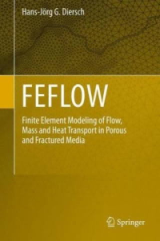 Knjiga FEFLOW Hans-Jörg G. Diersch