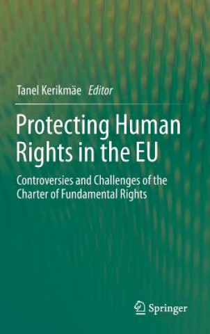 Kniha Protecting Human Rights in the EU Tanel Kerikmäe