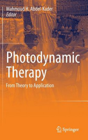 Kniha Photodynamic Therapy Mahmoud Abdel Kader