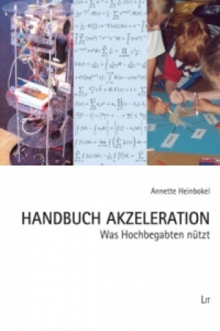 Kniha Handbuch Akzeleration Annette Heinbokel